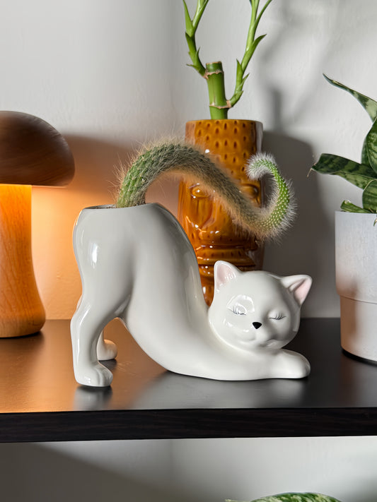 WhiskerBloom™ - Kitty Ceramic Pot | Premium Quality