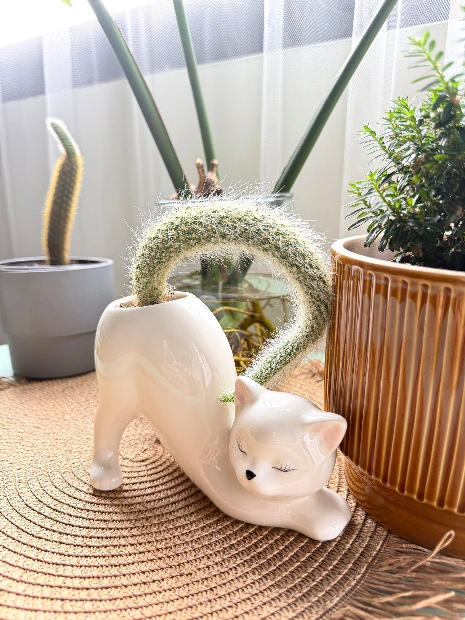 WhiskerBloom™ - Kitty Ceramic Pot | Premium Quality