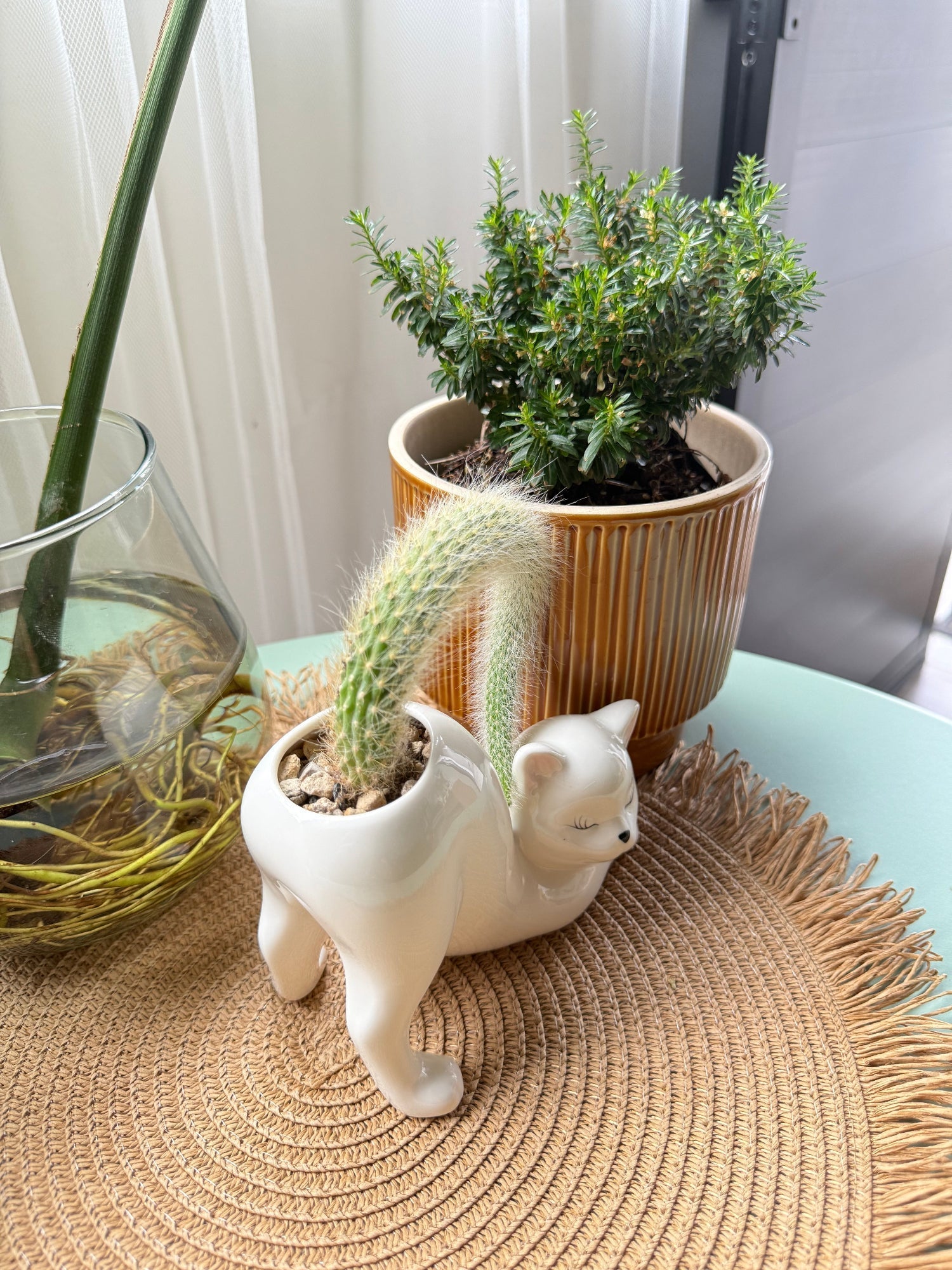 WhiskerBloom™ - Kitty Ceramic Pot | Premium Quality