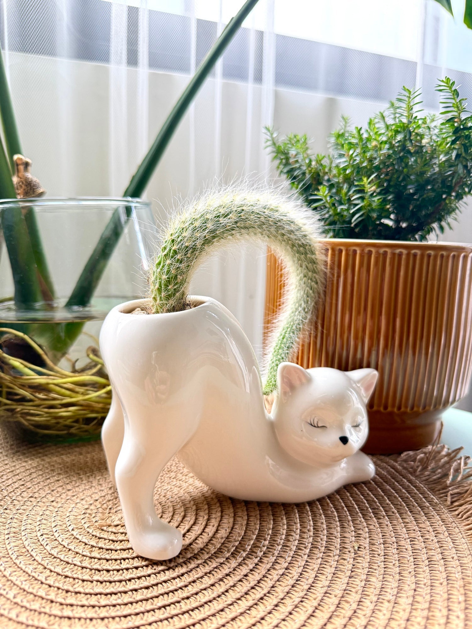 WhiskerBloom™ - Kitty Ceramic Pot | Premium Quality