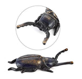 Metamorphosis™ – Beetle Boot Remover | Premium Quality